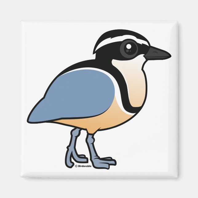 Egyptian Plover Magnet (Framsidan)