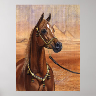 Egyptian Princess Arabian poster ALL SIZES