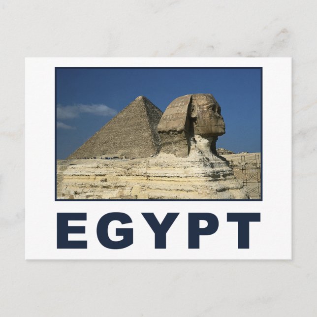 Egyptian Sphinx Vykort (Framsida)