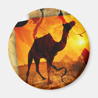 Egyptisk kamel magnet