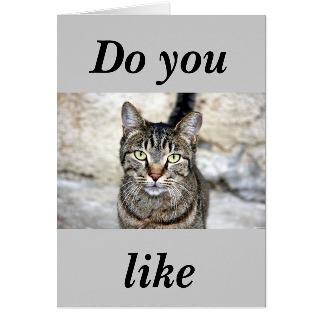 Egyptisk katt hälsningskort (Framsidan)