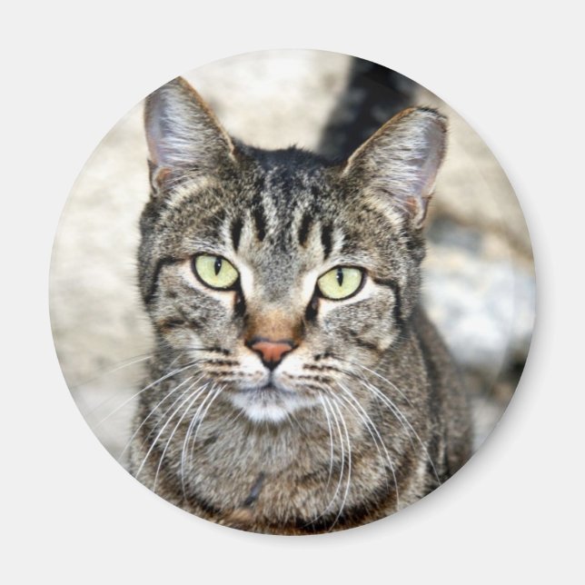 Egyptisk katt magnet (Framsidan)