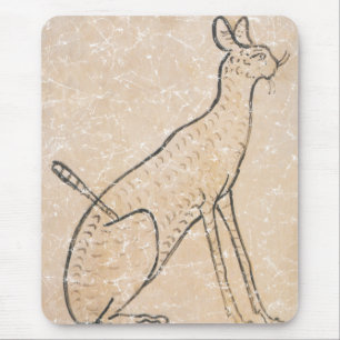 Egyptisk katt musmatta
