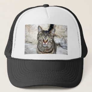 Egyptisk katt truckerkeps