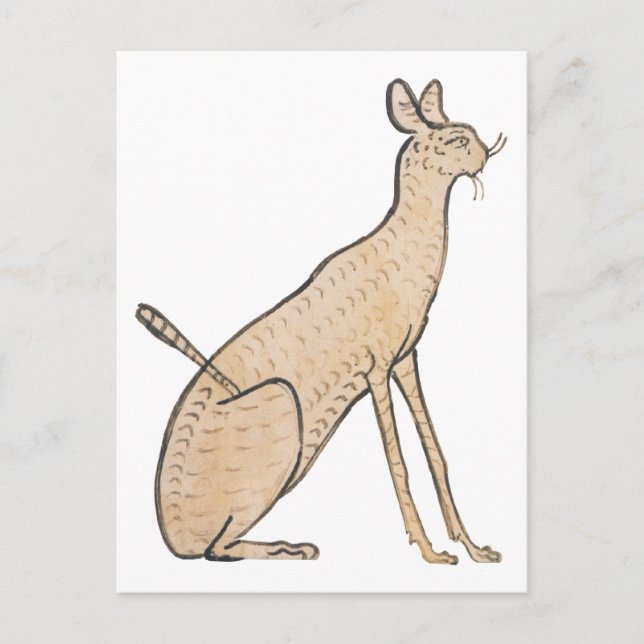 Egyptisk katt vykort (Framsida)