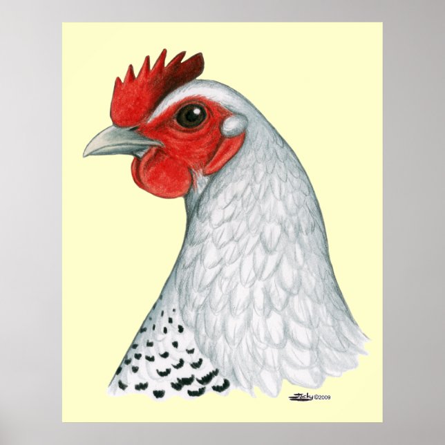 Egyptiska Fayoumi: Silver Hen Poster (Framsidan)