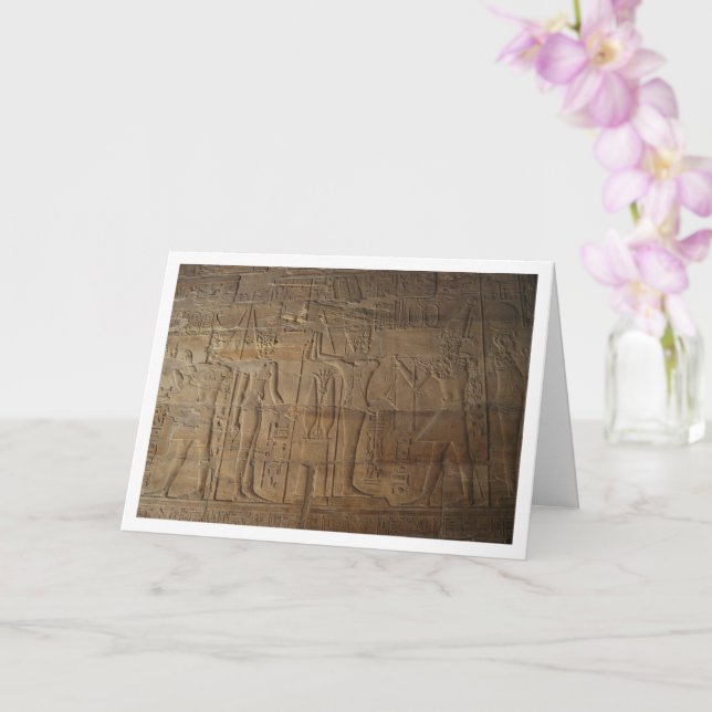 Egyptiska Hieroglyphs Wall Background Kort (Orkide)