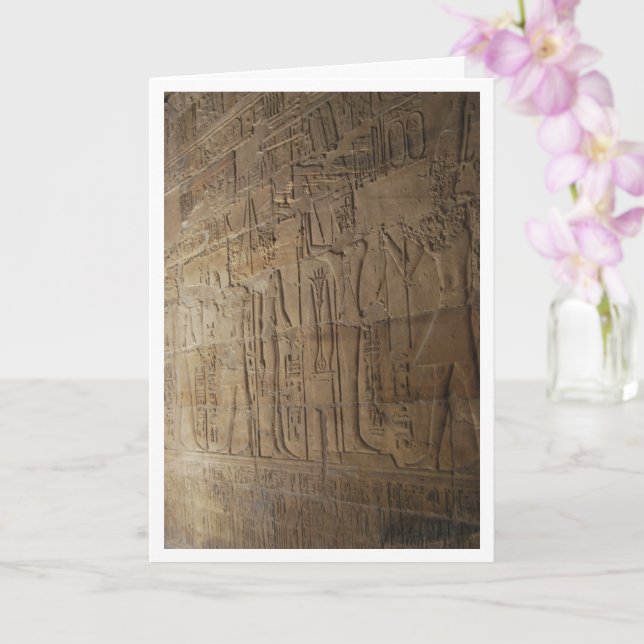 Egyptiska Hieroglyphs Wall Background Kort (Orkide)