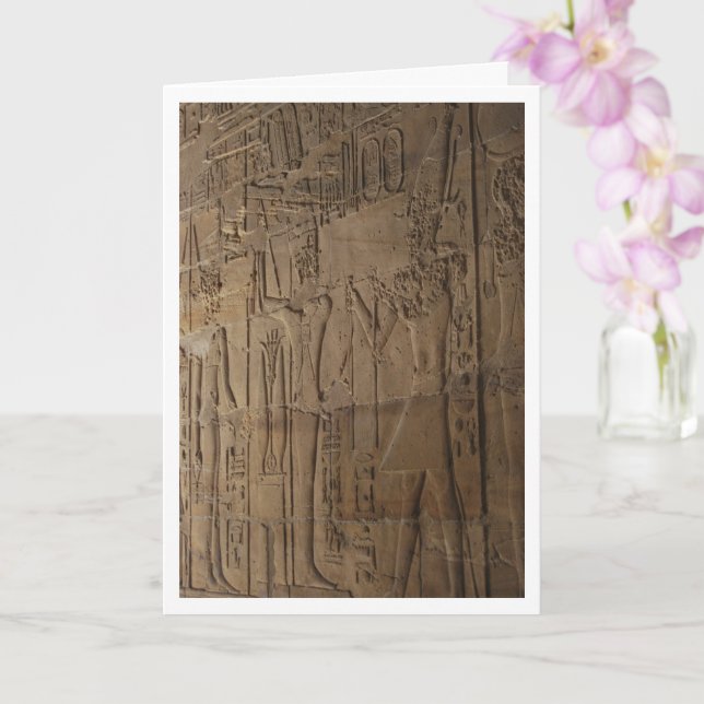 Egyptiska Hieroglyphs Wall Background Kort (Orkide)