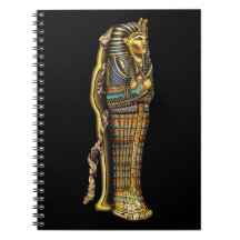 Egyptiska Mummy i Sarcophagus, Horror, Halloween