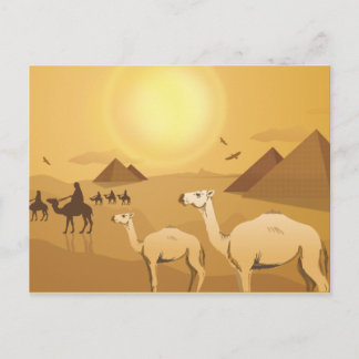 Egyptiska ökarkameler vykort