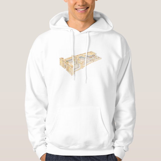 Egyptiskt tempel hoodie (Framsida)