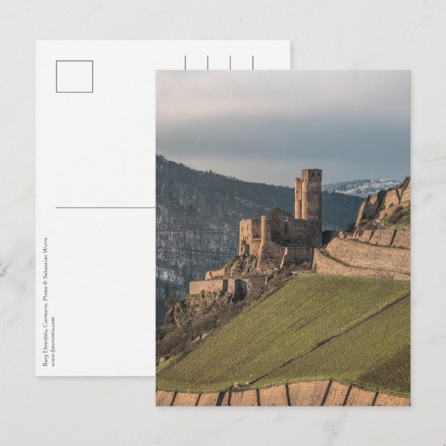 Ehrenfels Castle Tyskland Vykort (Fram/baksida)