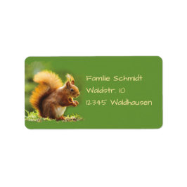 Eichhörnchen - grün | adressetikett