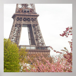Eiffel Torn och Cherry-Blommarna Poster