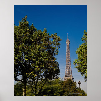 Eiffel Torn och träd, Paris, frankrike Poster