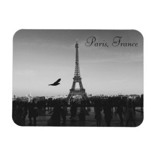 Eiffel torn, Paris, frankrikemagnet Magnet