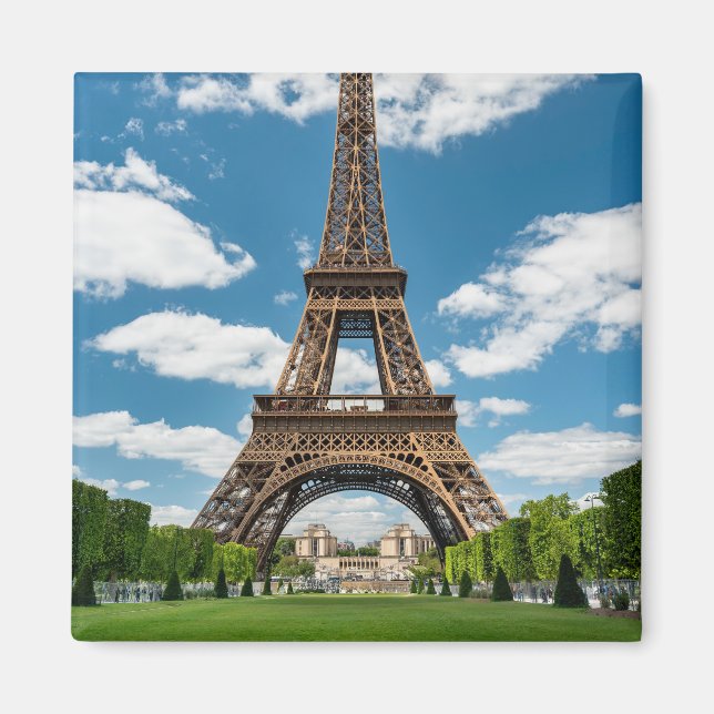 Eiffel Tower View from Champ de Mars Public Park Magnet (Framsidan)