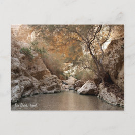 Ein Bokek, Israel. Vykort