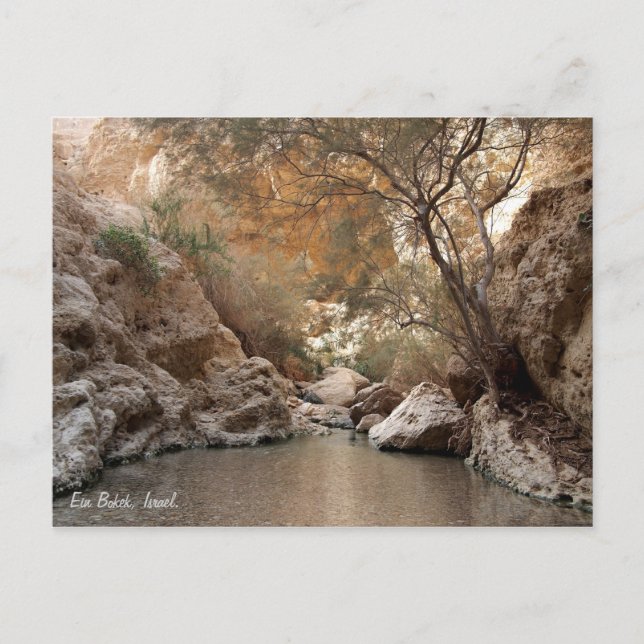 Ein Bokek, Israel. Vykort (Framsida)