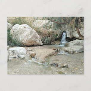 Ein Gedi Nature Reserve, Israel Vykort