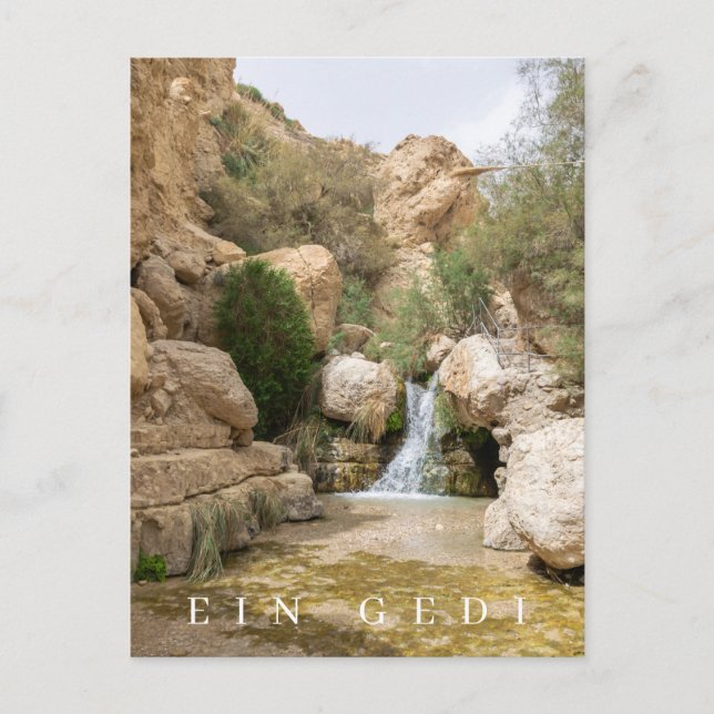 Ein Gedi Nature Reserve vyvykort Vykort (Framsida)