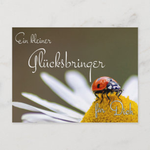 Ein kleiner Glücksbringer für Dich mit Marienkäfer Vykort