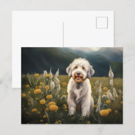 Ein wunderschöner weißer Hund Helg Vykort