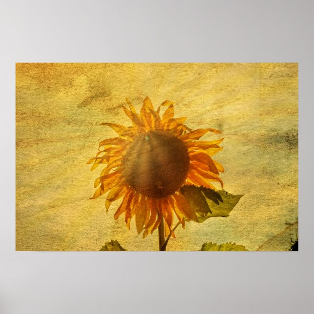 Eine Sonnenblume Poster (Framsidan)