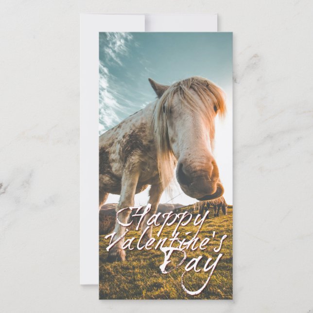 Einen schönen Valentinstag mit schauendem Pferd (Framsida)