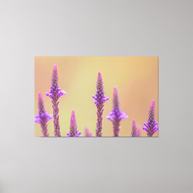 Einfach zum Träumen... Canvastryck (Framsida)