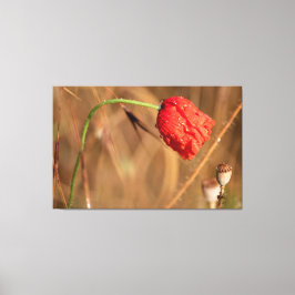 Einfach zum Träumen und Entskiften... Canvastryck