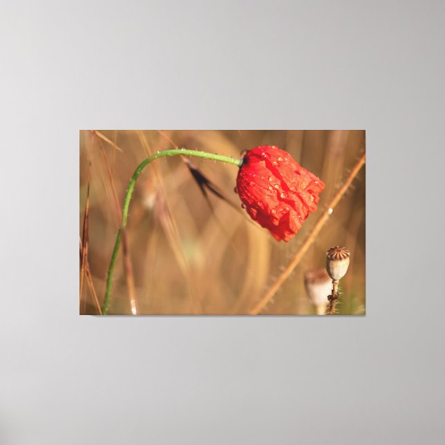 Einfach zum Träumen und Entskiften... Canvastryck (Framsida)