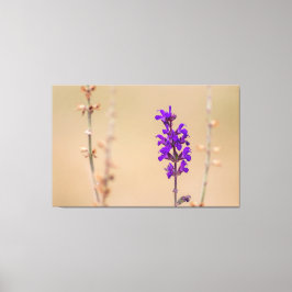 Einfach zum Träumen und Wohlfühlen... Canvastryck