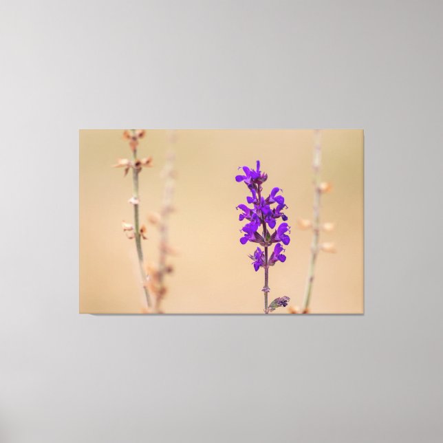 Einfach zum Träumen und Wohlfühlen... Canvastryck (Framsida)