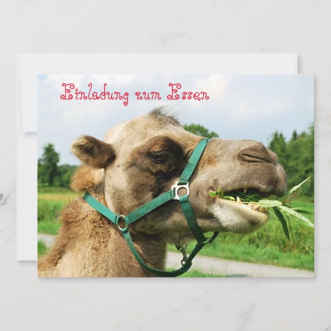 Einladung zum Essen Inbjudningar (Framsida)