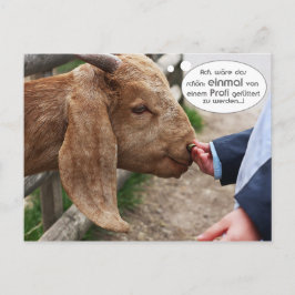 ..einmal von einem Profi gefüttert zu var ... Vykort