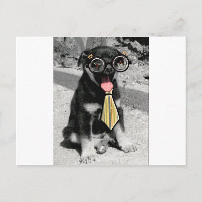 Einstein är en smart svart hund vykort (Framsida)