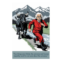 Einstein citat affisch