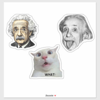 Einstein Genius & Hilarious Cat Sticker  Klistermärken