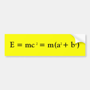 Einstein och Pythagoras Bildekal
