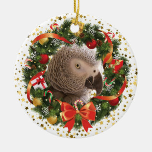 Einstein Parrot Wandeans Ornament