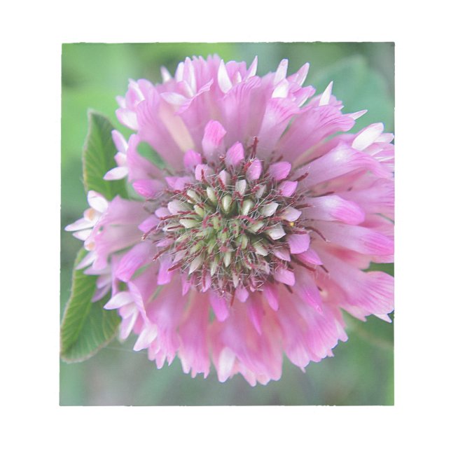Einzigartige rosa Blüte Anteckningsblock (Framsida)