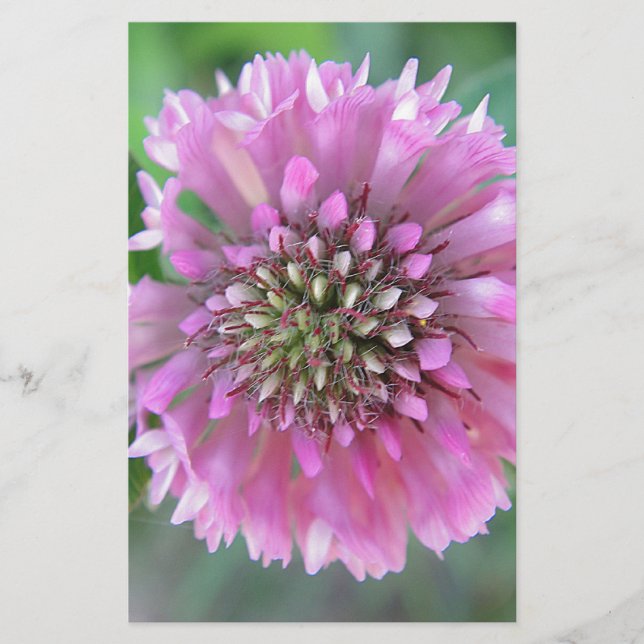 Einzigartige rosa Blüte Brevpapper (Framsida)