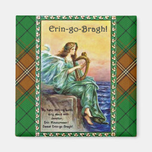 Éirinn med harpan magnet