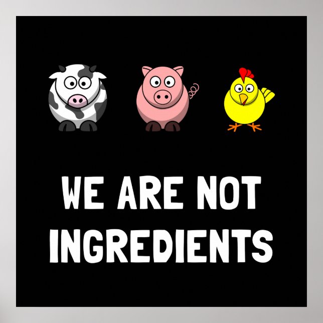 Ej ingredienser poster (Framsidan)