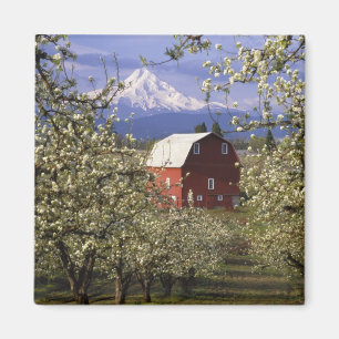 Ej tillämplig, USA, Oregon, Hood River County. Röd Magnet