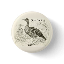 Ejderduckknapp
