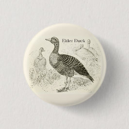 Ejderduckknapp Knapp