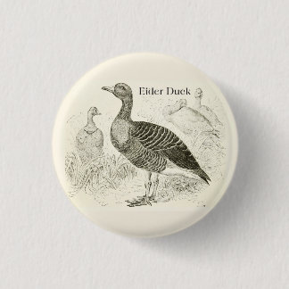 Ejderduckknapp Knapp
